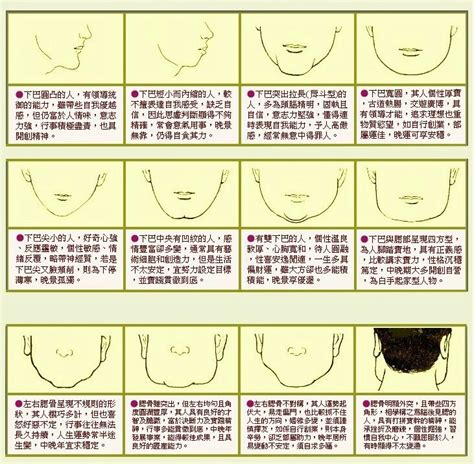 圓下巴面相|下巴面相｜9種解析：雙下巴注定貴婦命，下巴兜兜晚年無憂，姻 